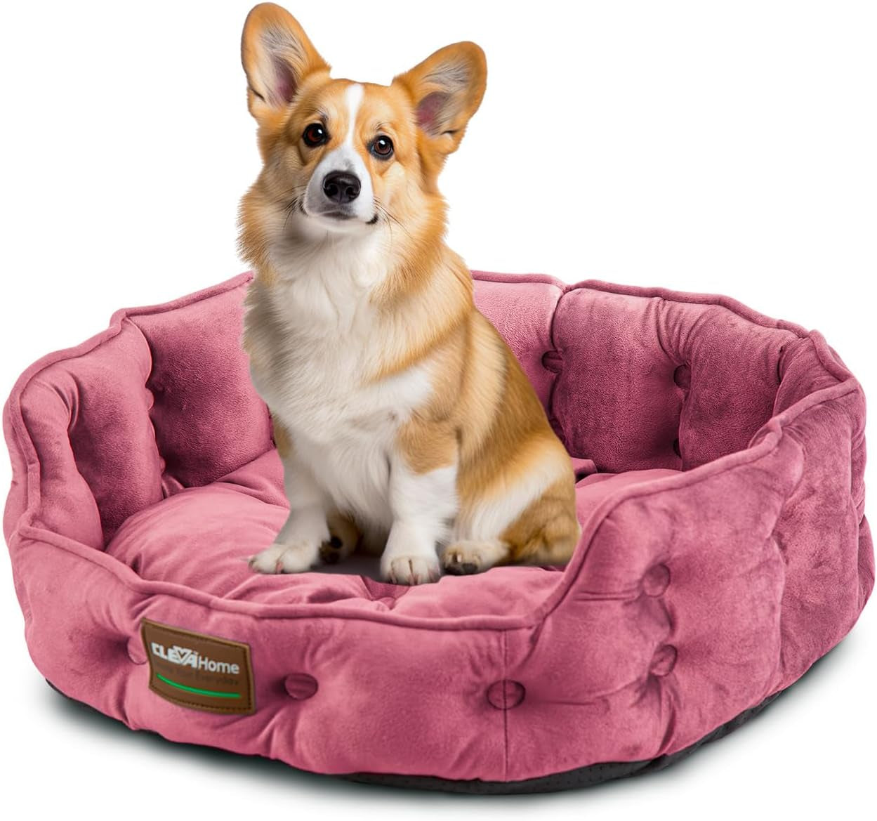 Lits et Canapés, Couvertures et Meubles, Animaux, Chats, Lits pour chats, Chats - lits, matelas