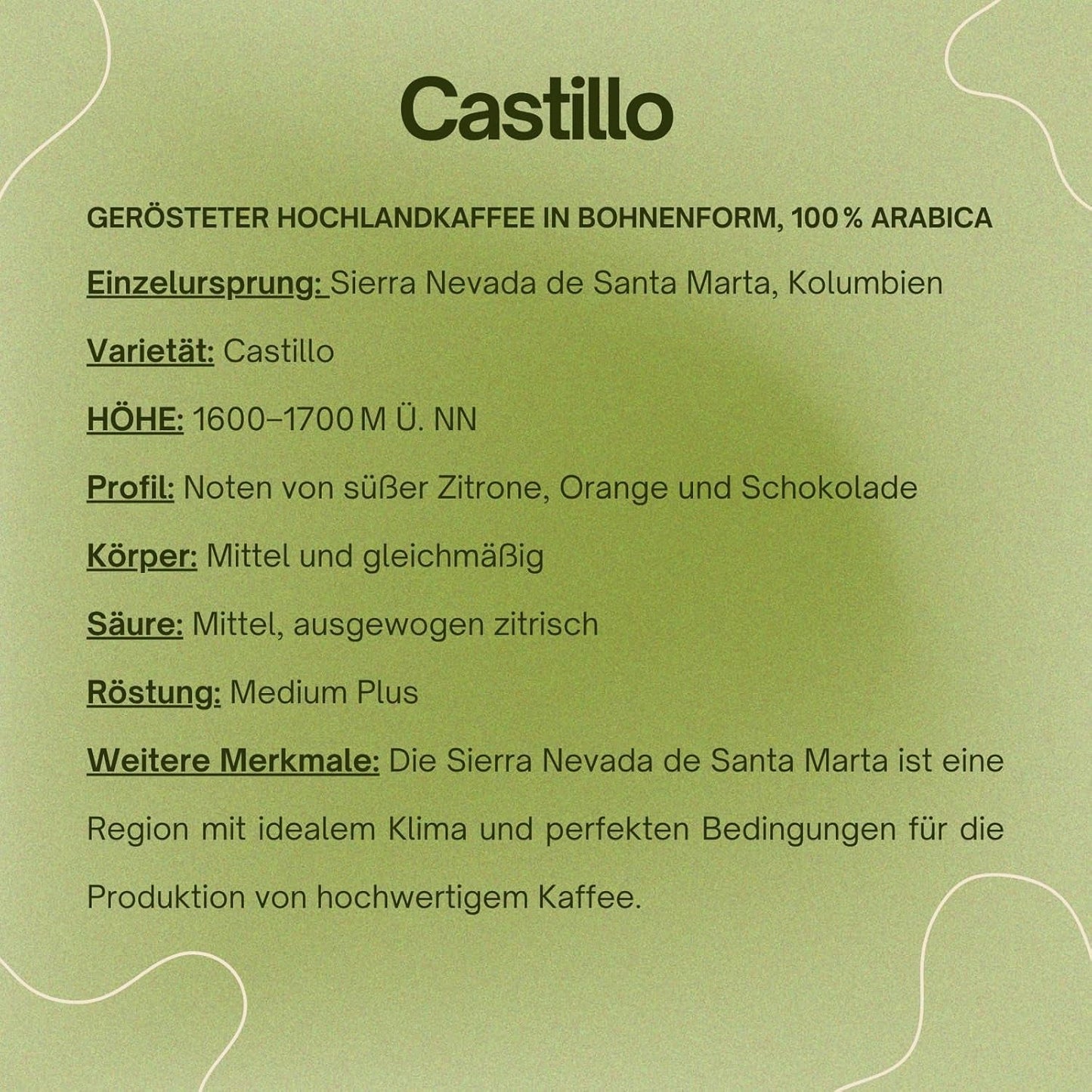 Café spécial Bohnen 100 % Arabica naturel Mittlere Röstung Gewaschener Prozess Zitrus Schokolade Karamell Schattenanbau Sierra Nevada (250 g, Castillo)