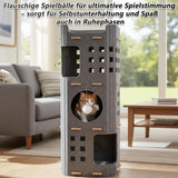 Couvertures et meubles, Animaux, Grottes et maisons, Chats, Lits pour chats, Chats - lits, matelas