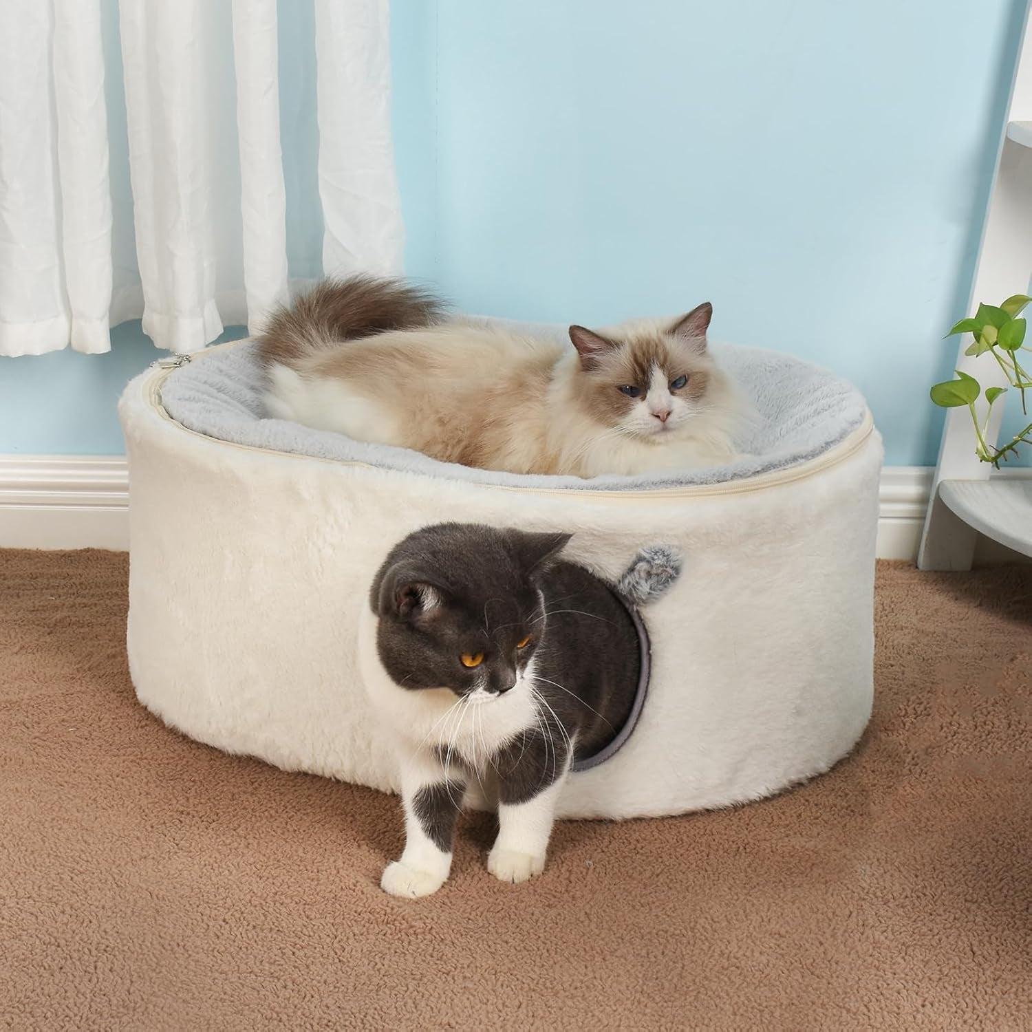 Couvertures et meubles, Animaux, Grottes et maisons, Chats, Lits pour chats, Chats - lits, matelas