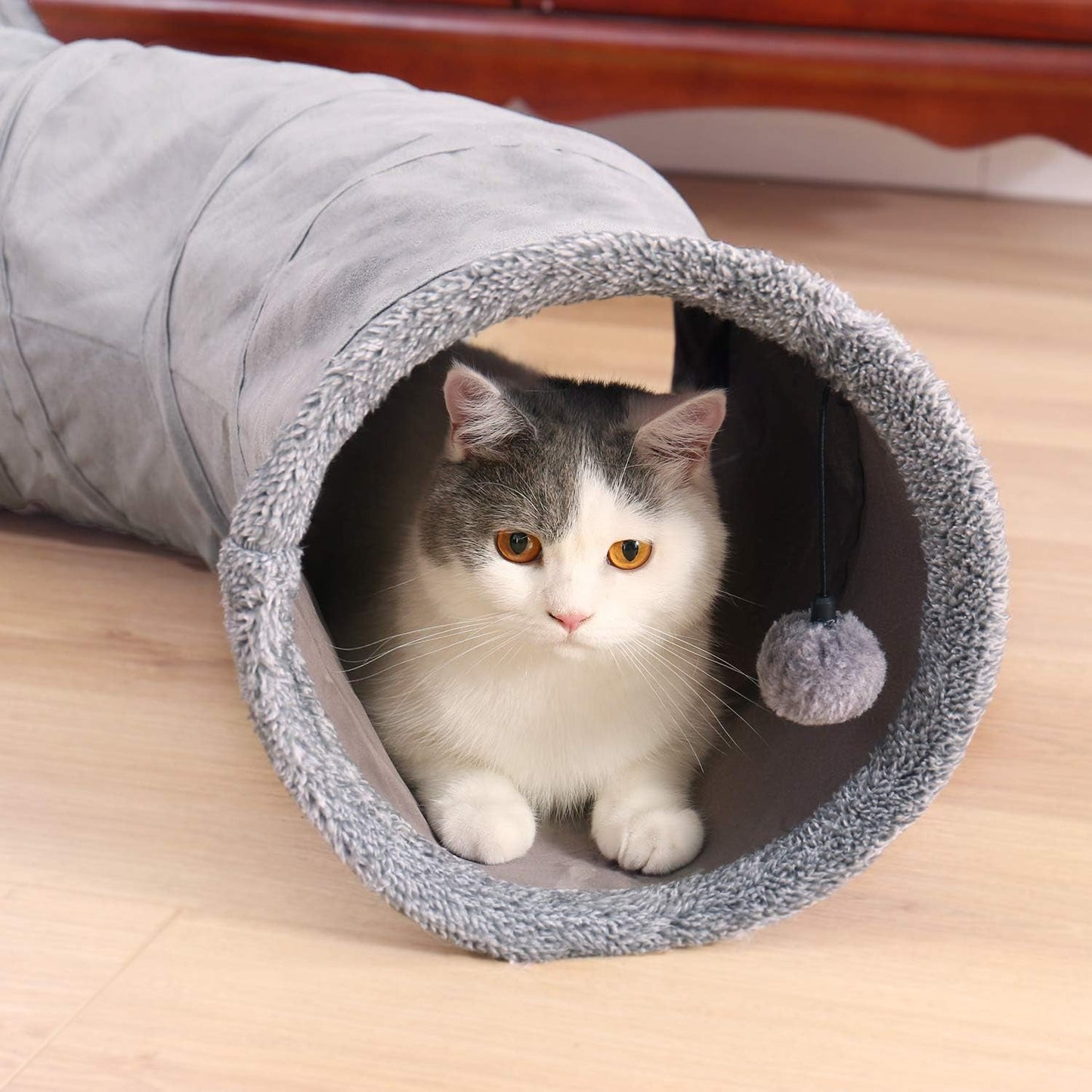 Animal de compagnie, chats, chats - lits, matelas, jouets, tunnels