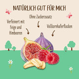 Allos Bouillie de figues et framboises non sucrée, Coffret 6 x 500 grammes Céréales Naty Shop