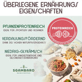 Pâtes Penne Rigate Bio N.91 - 500g à la farine d'épeautre, farine de lentilles et farine de quinoa - Riches en protéines, source de fibres et de protéines