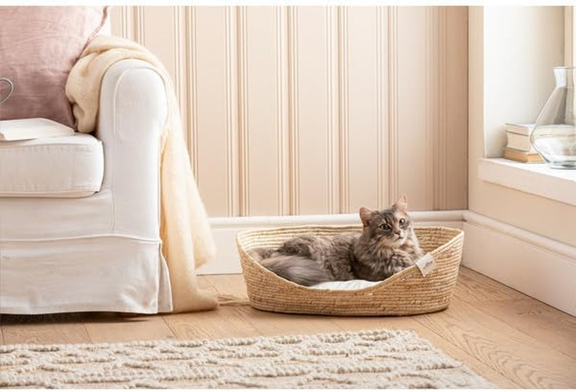 Lits et Canapés, Couvertures et Meubles, Animaux, Chats, Lits pour chats, Chats - lits, matelas