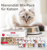 BEAPHAR – Renal Diet Mixed Package – Aliment complet pour chats souffrant d'insuffisance rénale chronique – Pour soutenir la fonction rénale – 6 x 100 g
