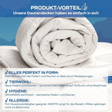 Allnights - Couette confort léger 135X200 100% plumes et duvets neufs, adaptée aux personnes allergiques, lavable jusqu'à 60°C, fabriquée en Allemagne Couettes et couettes Naty Shop