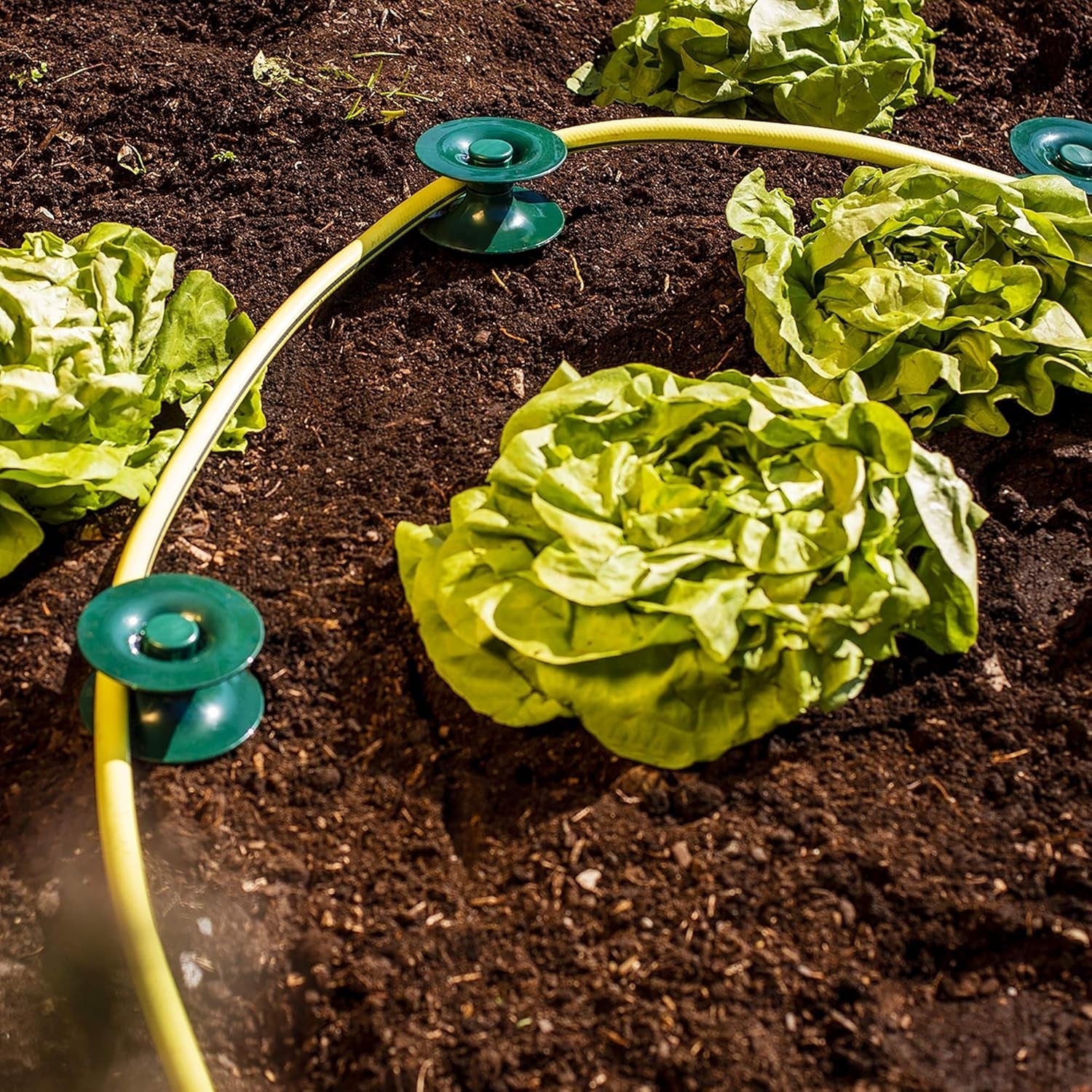 Jeu de 3 guides-tuyaux, vert, 24 x 9 cm | Tuyau d'arrosage et guide-câble avec ancrage au sol | Enrouleur de tuyau pour protéger les parterres de fleurs et les murs de la maison | Enrouleur pour tuyau d'arrosage et câble