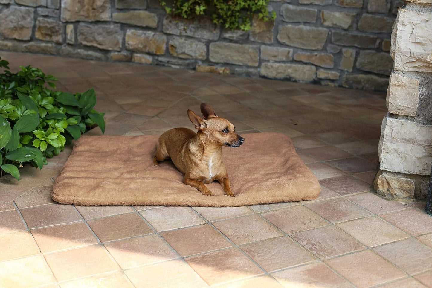 Sogni E Capricci Tapis Super Doux, Crème, 104X75CM, Polyester, Couvertures et couettes Naty Shop Marron 62X50Cm