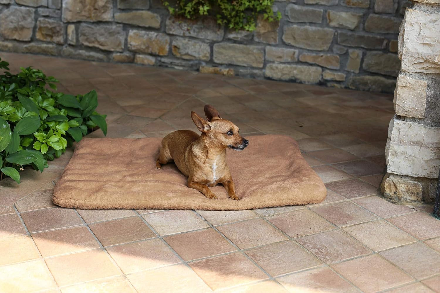 Sogni E Capricci Tapis Super Doux, Crème, 104X75CM, Polyester, Couvertures et couettes Naty Shop Marron 62X50Cm