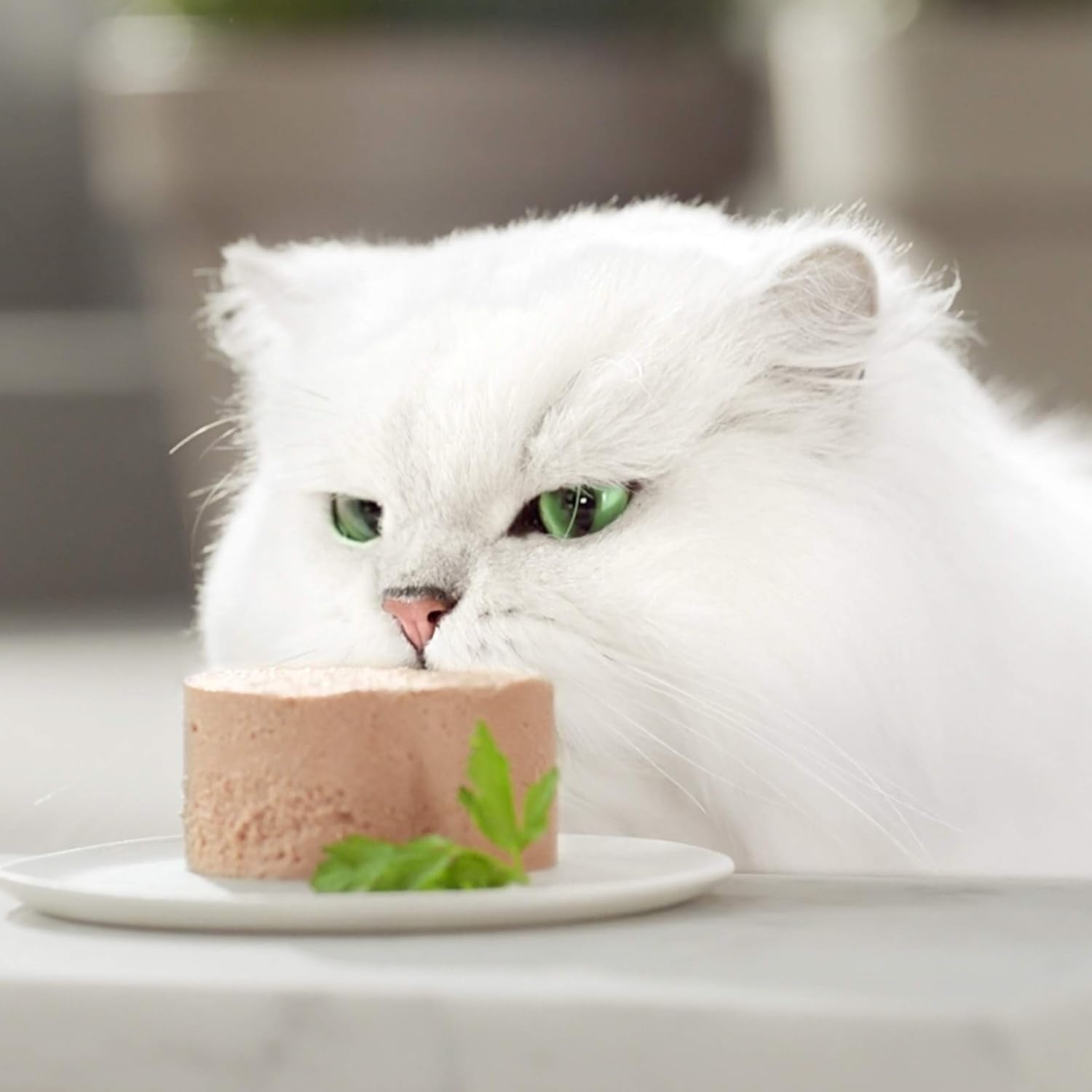 Fine Pate Gourmet Gold aux légumes, nourriture humide pour chats à la truite et à la tomate, paquet de 12 (12 x 85 g)