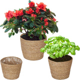 Relaxdays Lot de 3 pots de fleurs en jonc de mer, panier rond pour fleurs et herbes aromatiques, avec film plastique, 3 tailles, naturel