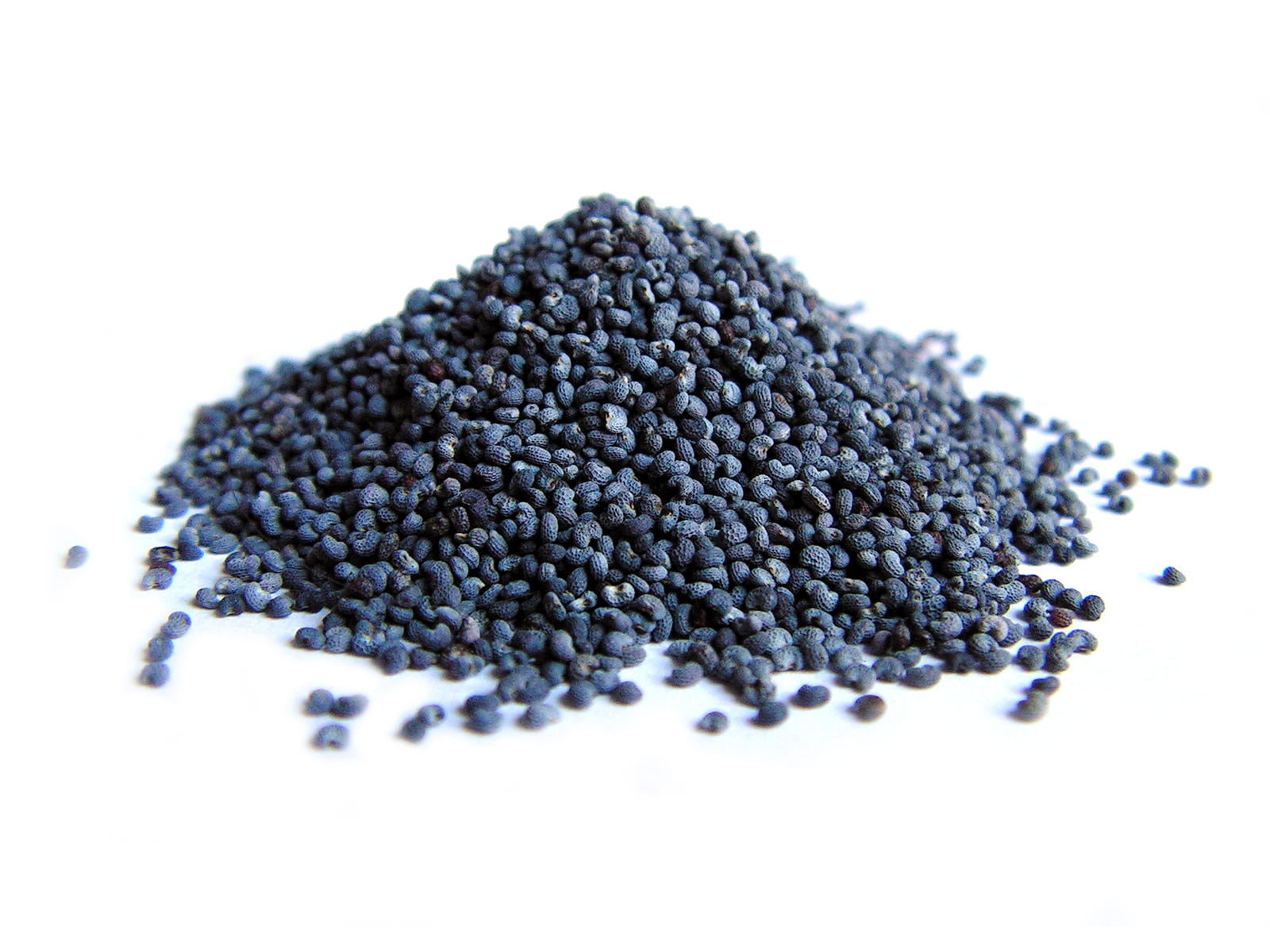 Graines de Pavot 50g - Goût intense et riche en protéines pour la cuisine et les desserts
