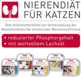 BEAPHAR - Régime rénal au poulet - Aliment complet pour chats souffrant d'insuffisance rénale chronique - Pour soutenir la fonction rénale - 100 g
