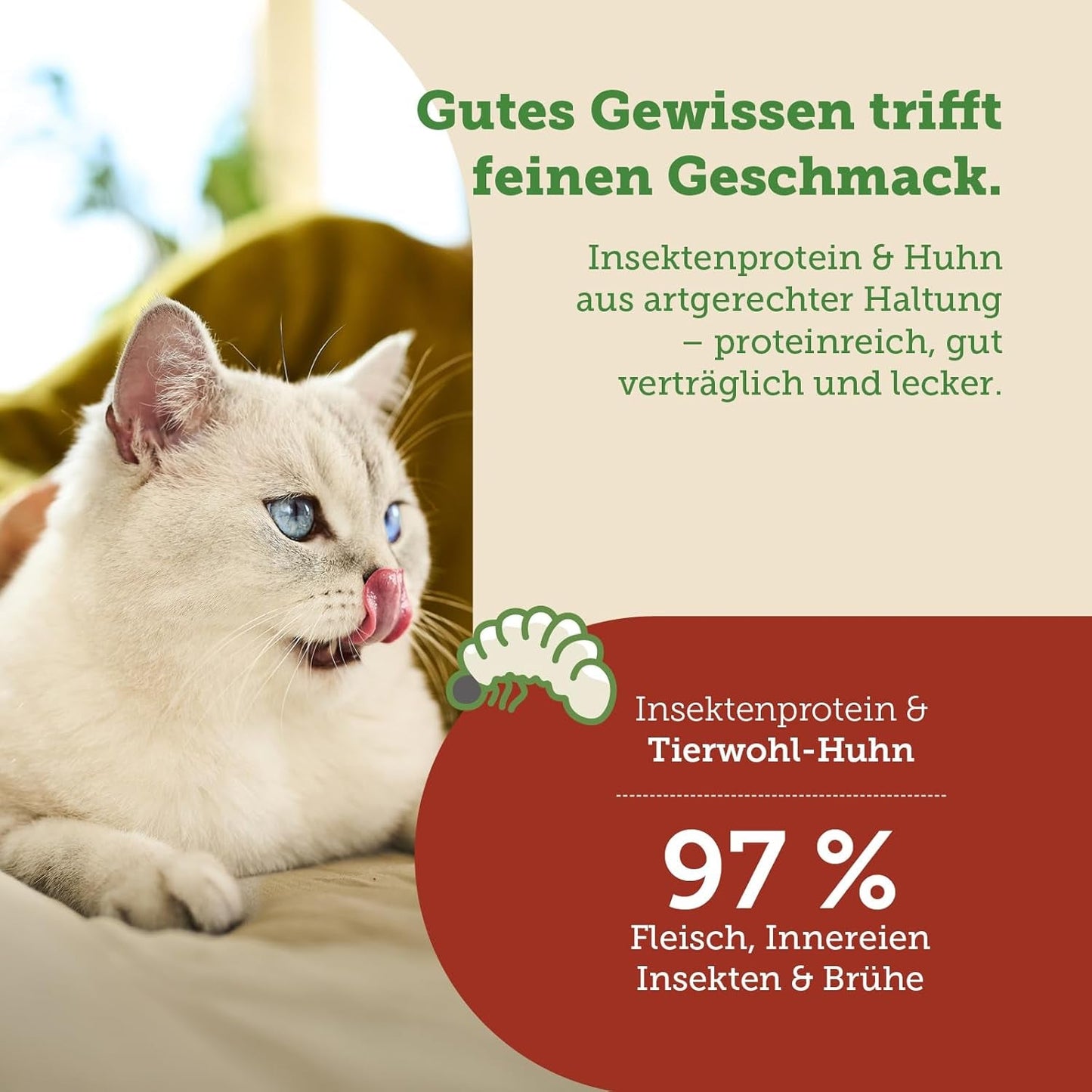 MERA Cats Nature Insect Premium Katzenfutter Nass 12x85g | sans Zucker et Getreide| Nachhaltig & mit viel Insektenprotein | Katzennassfutter adulte