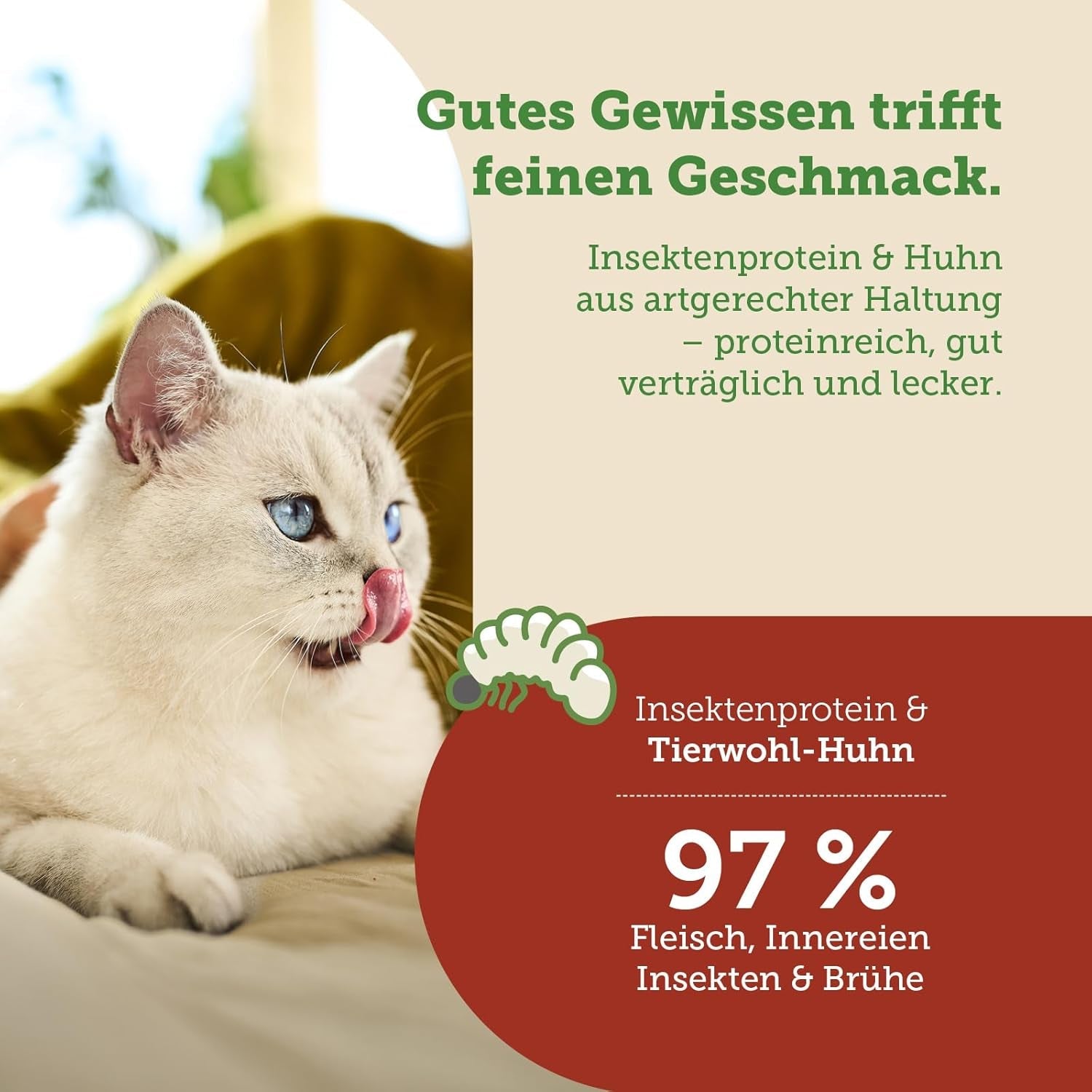 MERA Cats Nature Insect Premium Katzenfutter Nass 12x85g | sans Zucker et Getreide| Nachhaltig & mit viel Insektenprotein | Katzennassfutter adulte
