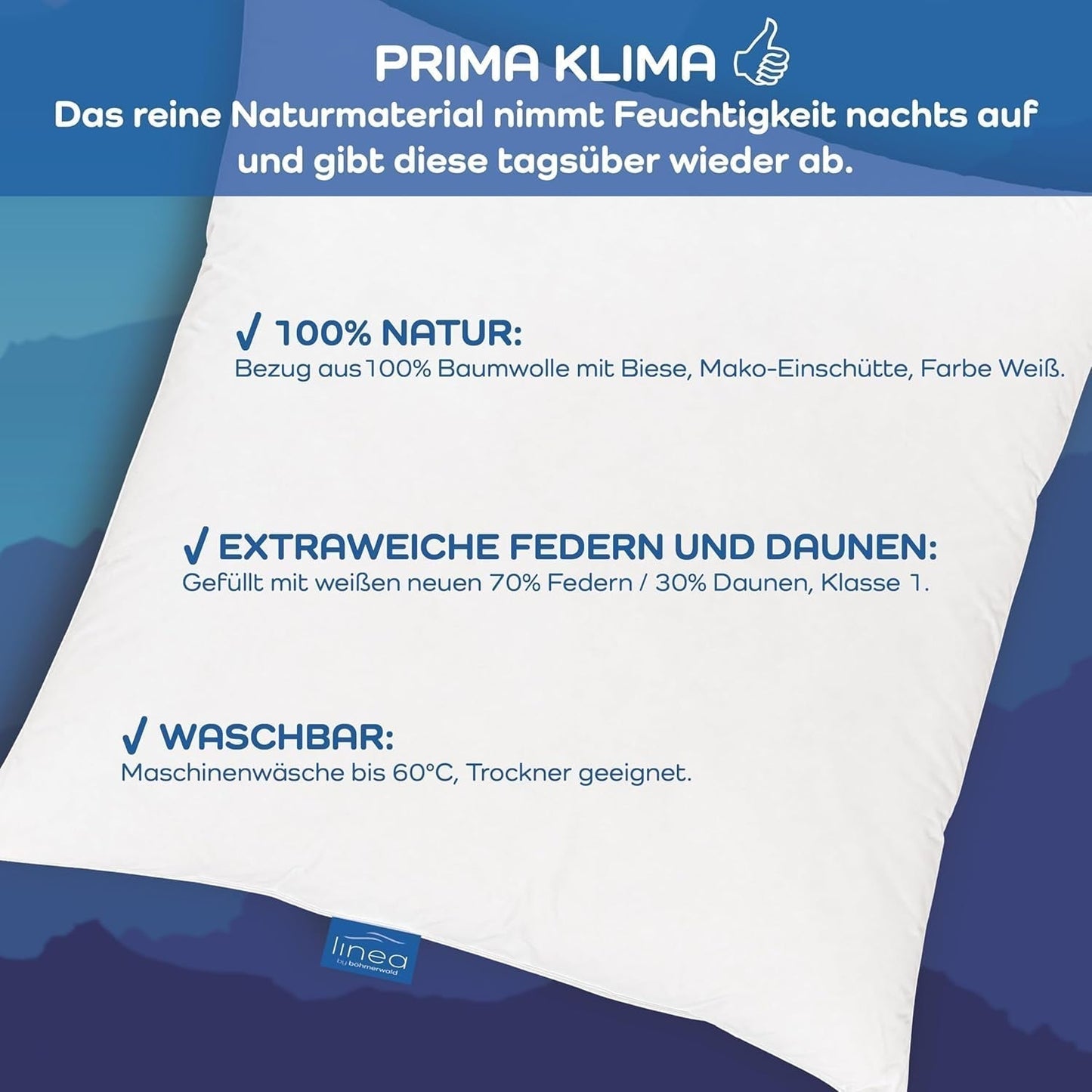 LINEA by Böhmerwald - Cosy - Oreiller Balance de haute qualité, 80X80, 70% plumes classe 1, 30% duvet neuf, adapté aux allergies, lavable jusqu'à 60°C, fabriqué en Allemagne Oreillers standards Naty Shop