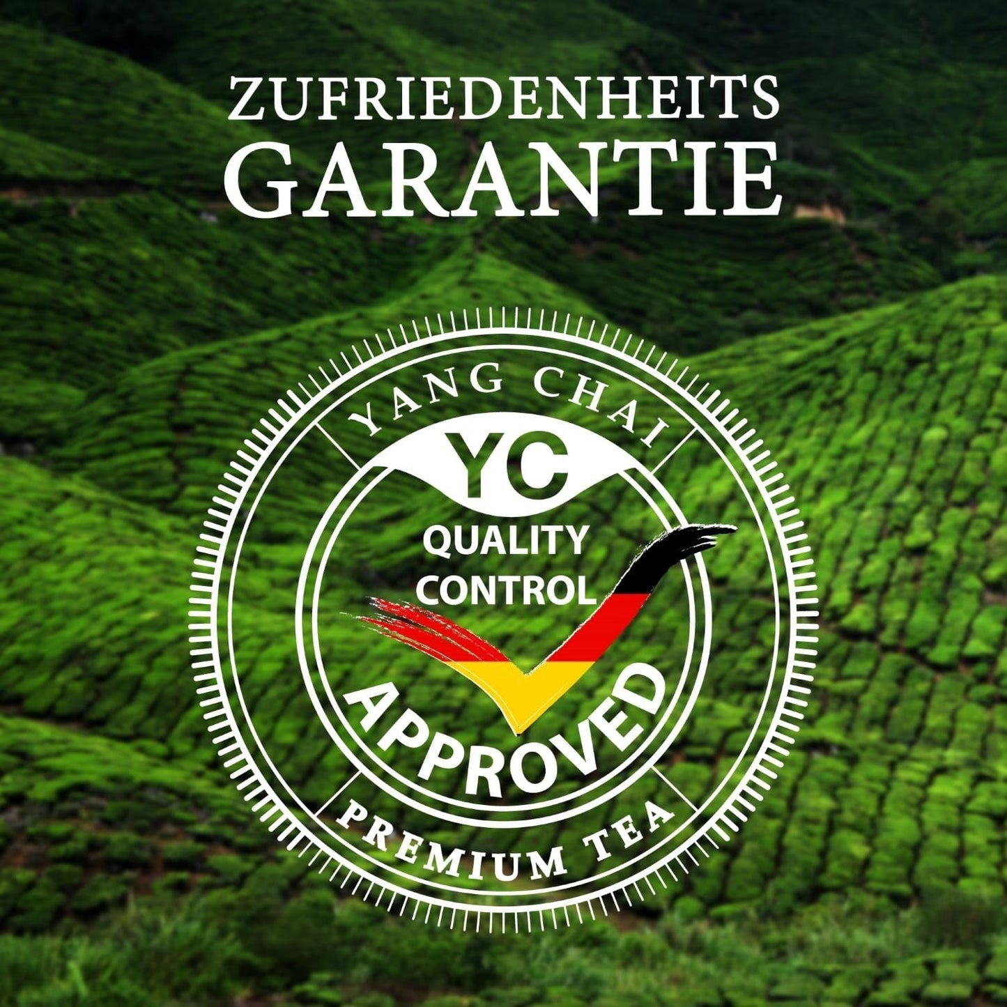 YC Yang Chai Sencha Green Tea BIO 250G - Thé japonais en vrac au goût de bergamote - Thé vert japonais original "Dynastie Sencha" issu de l'agriculture biologique contrôlée