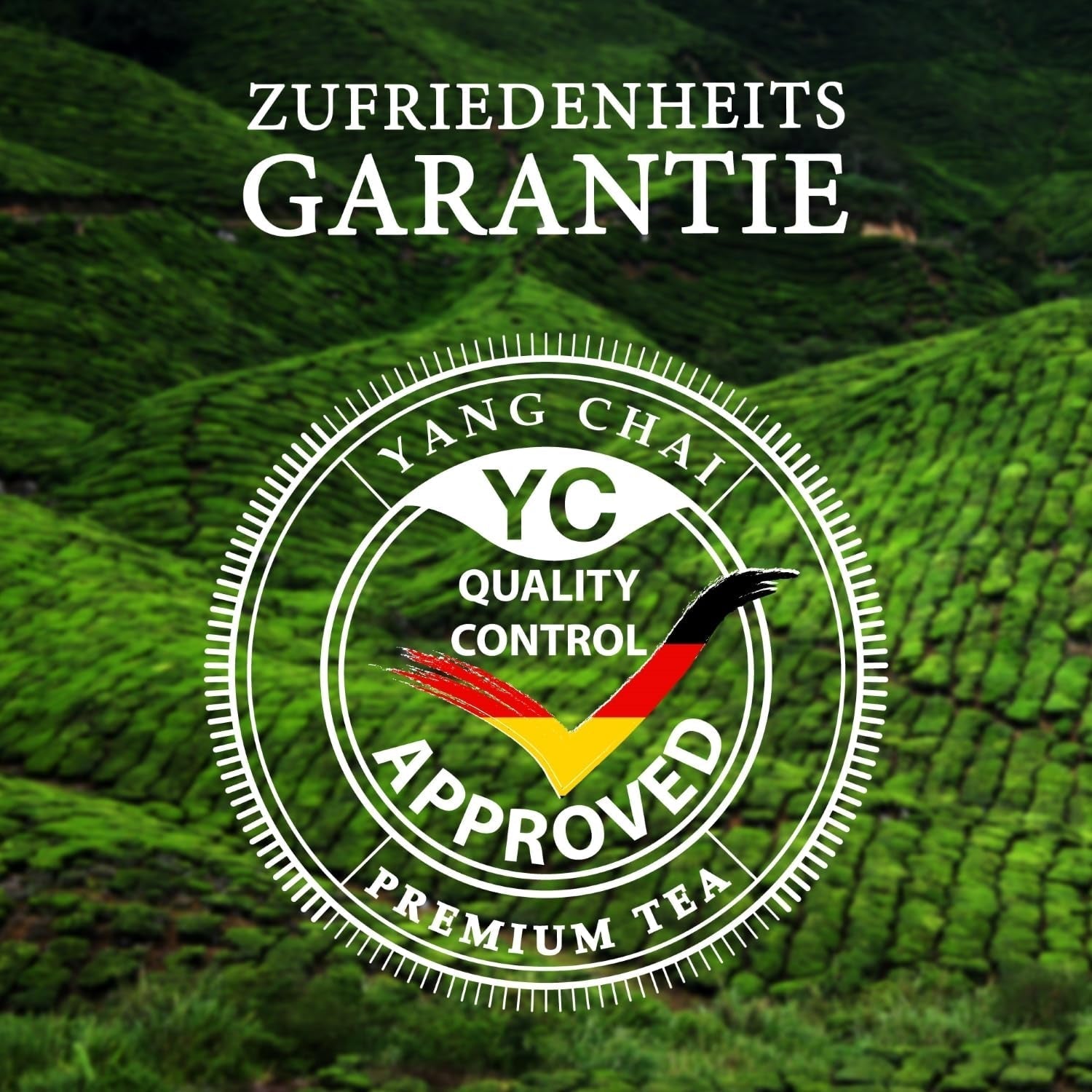 YC Yang Chai Sencha Green Tea BIO 250G - Thé japonais en vrac au goût de bergamote - Thé vert japonais original "Dynastie Sencha" issu de l'agriculture biologique contrôlée