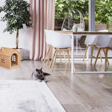 Couvertures et meubles, Animaux, Grottes et maisons, Chats, Lits pour chats, Chats - lits, matelas