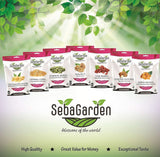 Seba Garden Premium, délicieuses fraises séchées de Méditerranée, sans OGM et vegan Produits déshydratés Naty Shop