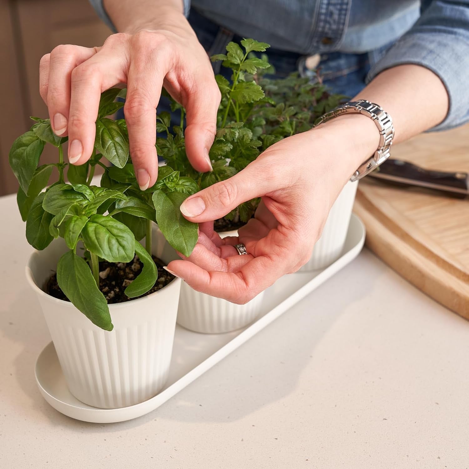 Ensemble de 3 magnifiques pots de jardin d'herbes aromatiques, parfaits pour n'importe quel rebord de fenêtre ou comptoir de cuisine, un ensemble de jardinières décoratives modernes comprenant un plateau et...