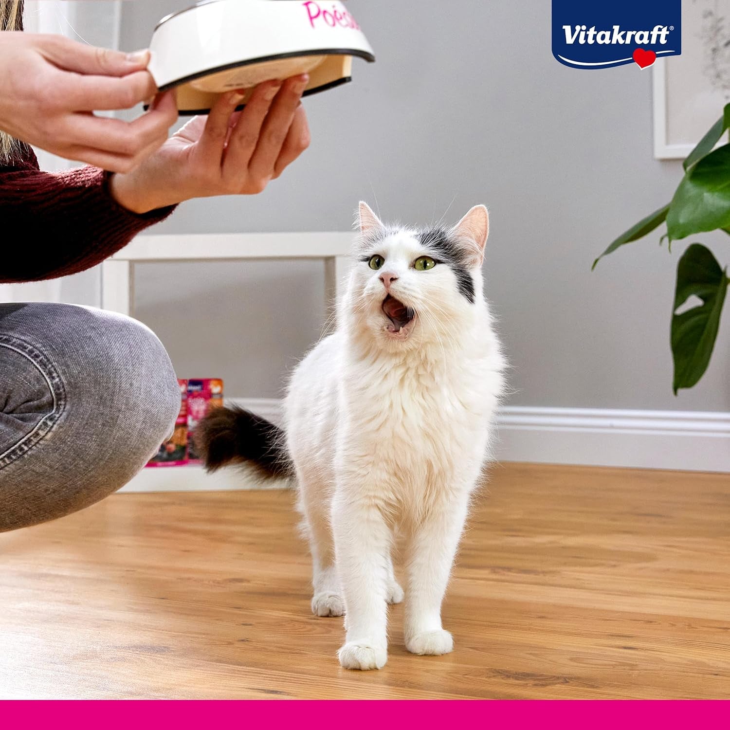 Vitakraft Poésie Création, Tender Selection, Nourriture humide pour chat, Nourriture humide pour chat en sauce, au poulet, à la dinde, au bœuf, sans sucre ajouté et sans céréales (1 paquet de 6 x 85g)