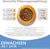 IAMS Delights Sea Collection Katzenfutter Nass - Multipack mit Fisch Sorten (Lachs, Thunfisch, Maquereau, Seefisch) en Sauce, Nassfutter für Katzen à partir de 1 janvier, 12 x 85g