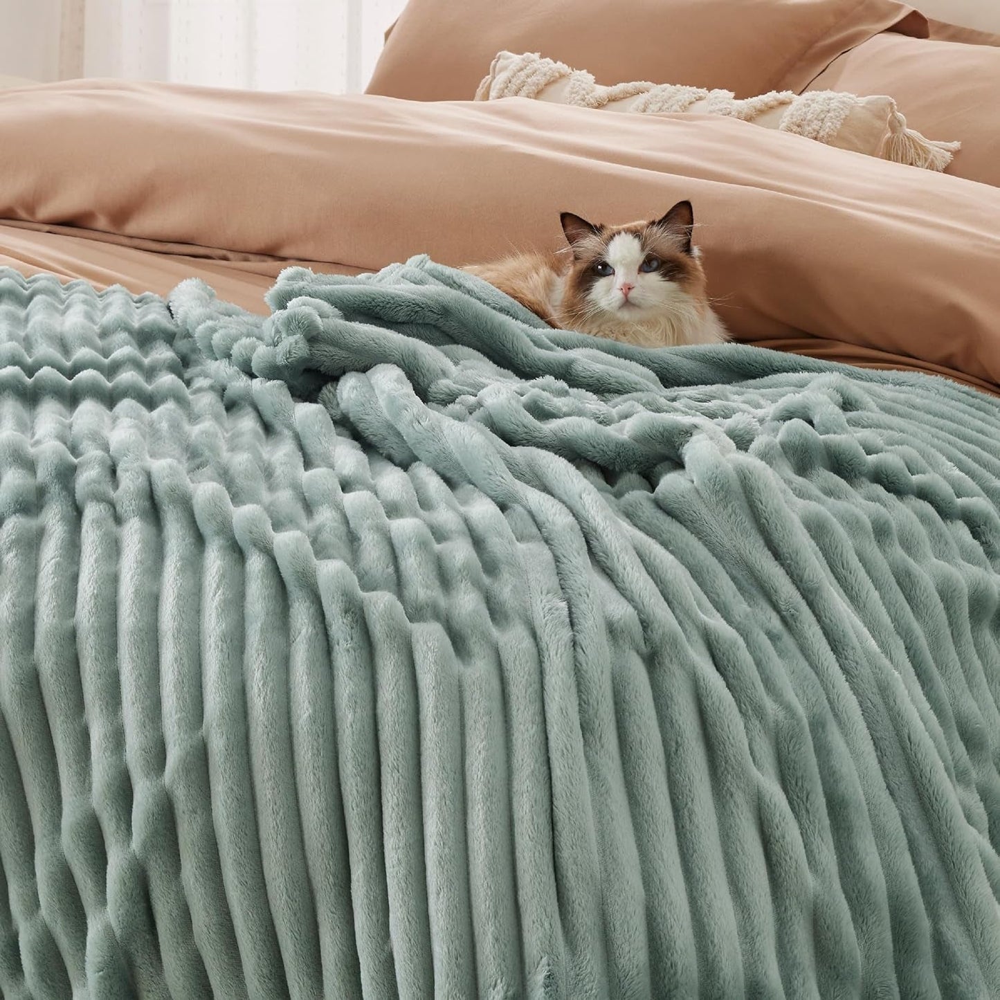 BEDSURE Couverture polaire vert sauge pour canapé – Couvertures super douces et confortables pour femmes, petite couverture mignonne pour filles, lits et couvertures 127 x 152 cm Beuche den BEDSURE-Store
