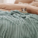 BEDSURE Couverture polaire vert sauge pour canapé – Couvertures super douces et confortables pour femmes, petite couverture mignonne pour filles, lits et couvertures 127 x 152 cm Beuche den BEDSURE-Store