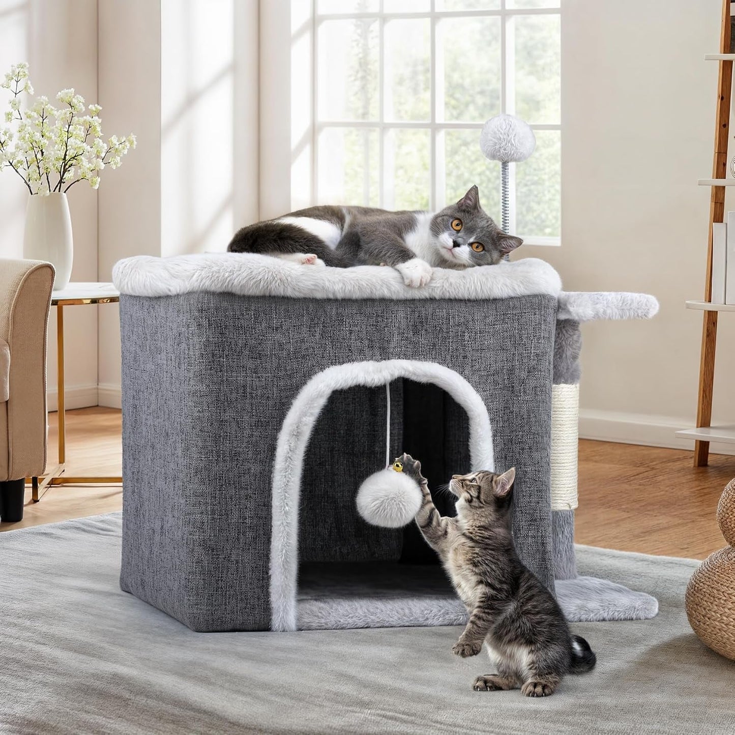 Couvertures et meubles, Animaux, Grottes et maisons, Chats, Lits pour chats, Chats - lits, matelas