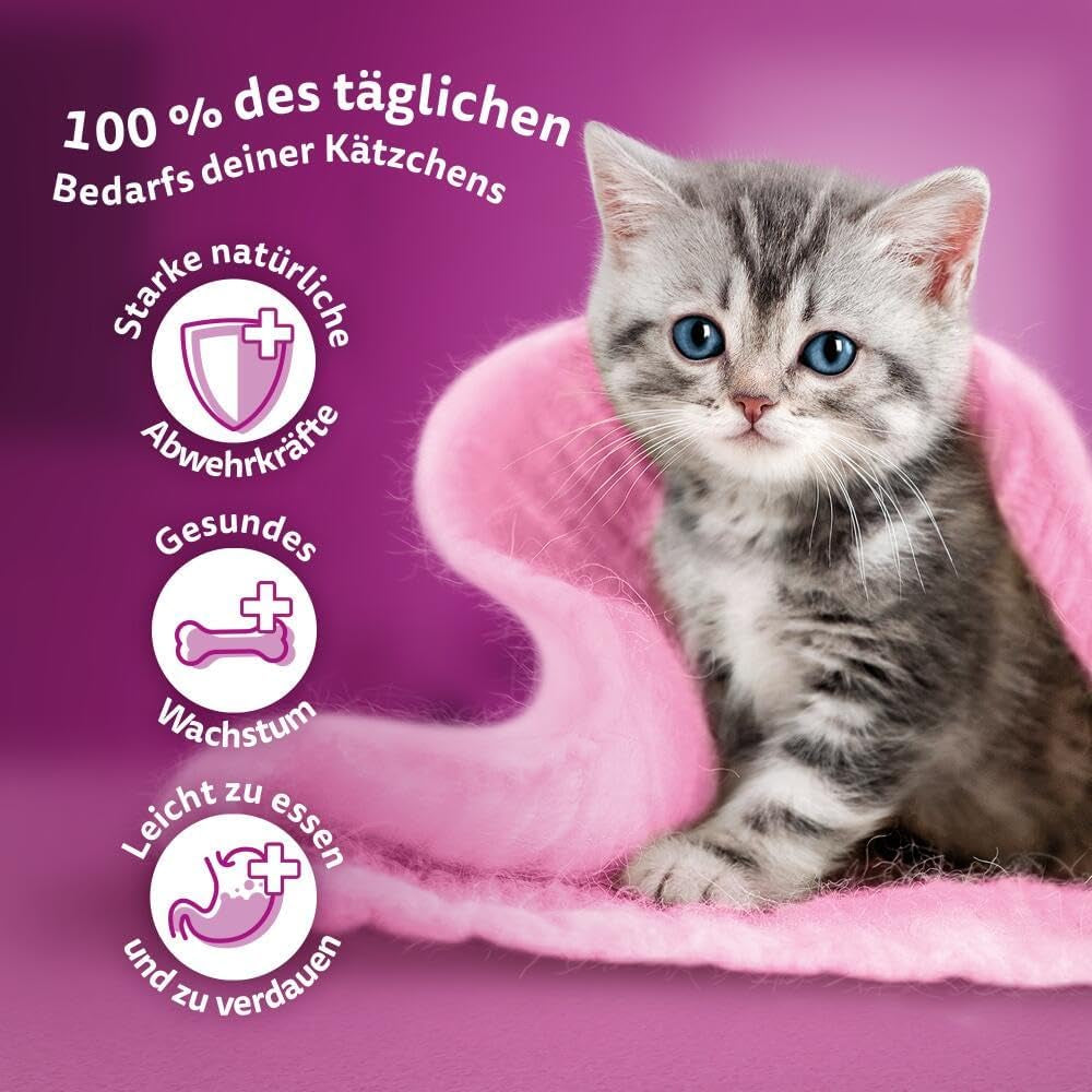 WHISKAS Junior Sachets de nourriture humide, multipack, sélection de viande de volaille en gelée, 12 x 85 g