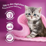 WHISKAS Junior Sachets de nourriture humide, multipack, sélection de viande de volaille en gelée, 12 x 85 g