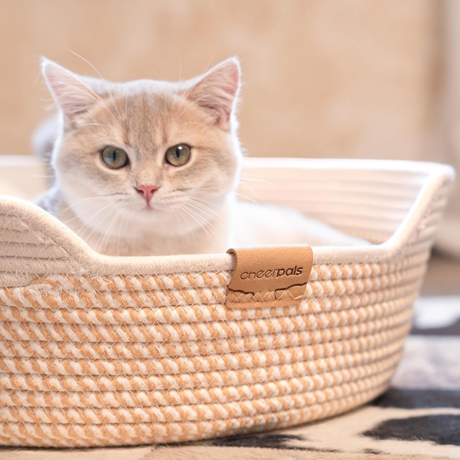 Lits, couvertures et meubles, animaux, chats, lits pour chats, Chats - lits, matelas