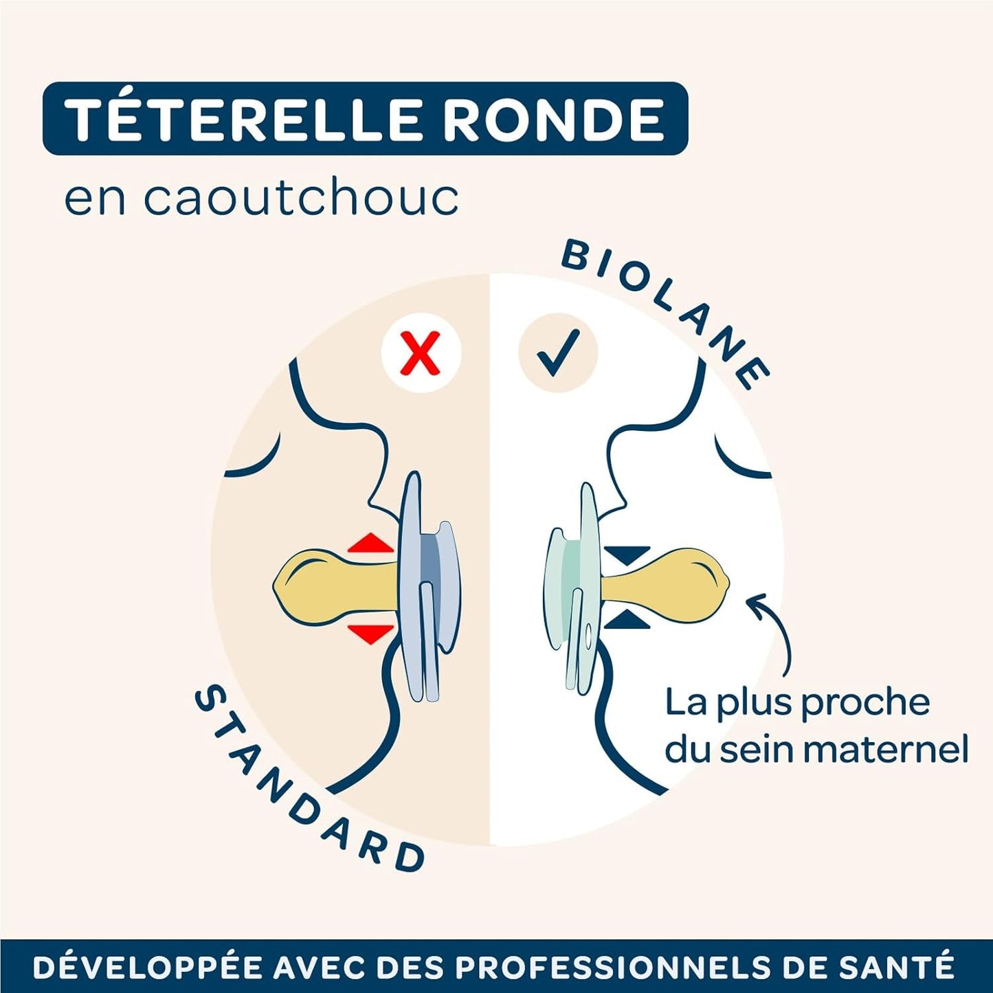 BIOLANE - Tétine ronde - Sucette extra fine - 6+ mois - Bicolore vert - Tétine en caoutchouc naturel - Pour le développement buccal - Douce et confortable