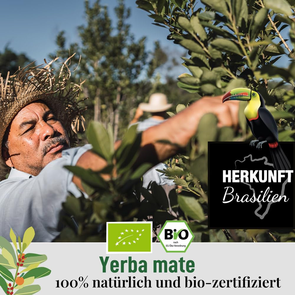 ORIGEENS BIO YERBA MATE aux oranges 200 G - Thé fruité I Thé Yerba Mate bio non torréfié, sans tiges ni poussière I Boisson énergisante et détoxifiante