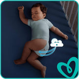 Couches Pampers 81657566 Pantalon Baby-Dry, blanc
