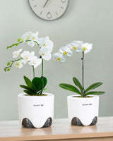 Pot de fleur d'orchidée avec trous de drainage pour la transplantation, excellente circulation de l'air, 2 pièces, plastique double couche, jardinière d'orchidée en céramique, pot de fleur d'orchidée transparent, décoratif