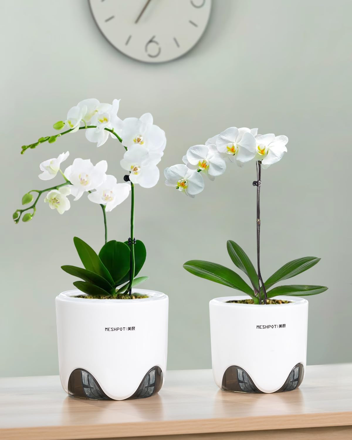 Pot de fleur d'orchidée avec trous de drainage pour la transplantation, excellente circulation de l'air, 2 pièces, plastique double couche, jardinière d'orchidée en céramique, pot de fleur d'orchidée transparent, décoratif