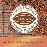 Chocolat Lindt | Coffret Praliné Créole | 165g | 15 pralines en 4 délicieuses variétés, à base de cacao 100% fin, sans alcool | Coffret chocolat