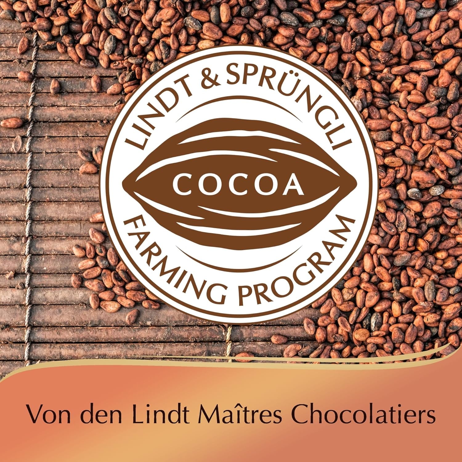Chocolat Lindt | Coffret Praliné Créole | 165g | 15 pralines en 4 délicieuses variétés, à base de cacao 100% fin, sans alcool | Coffret chocolat