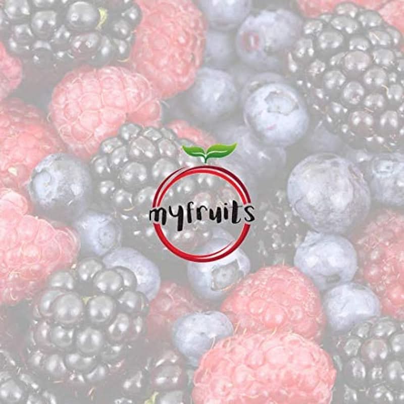 Myfruits poudre de fruit d'ananas 500 grammes Arome Naty Shop