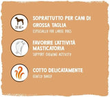 Pièces de monnaie Muesli de Sammy | Collations croustillantes au four pour chiens | 5 pièces de muesli aux céréales pour votre grand ami à quatre pattes (30 kg+) | 1kg