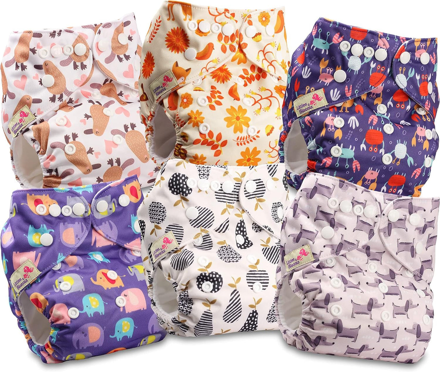 Littles and Bloomz FLP2-0406 Couche réutilisable à clip standard, 4 couches