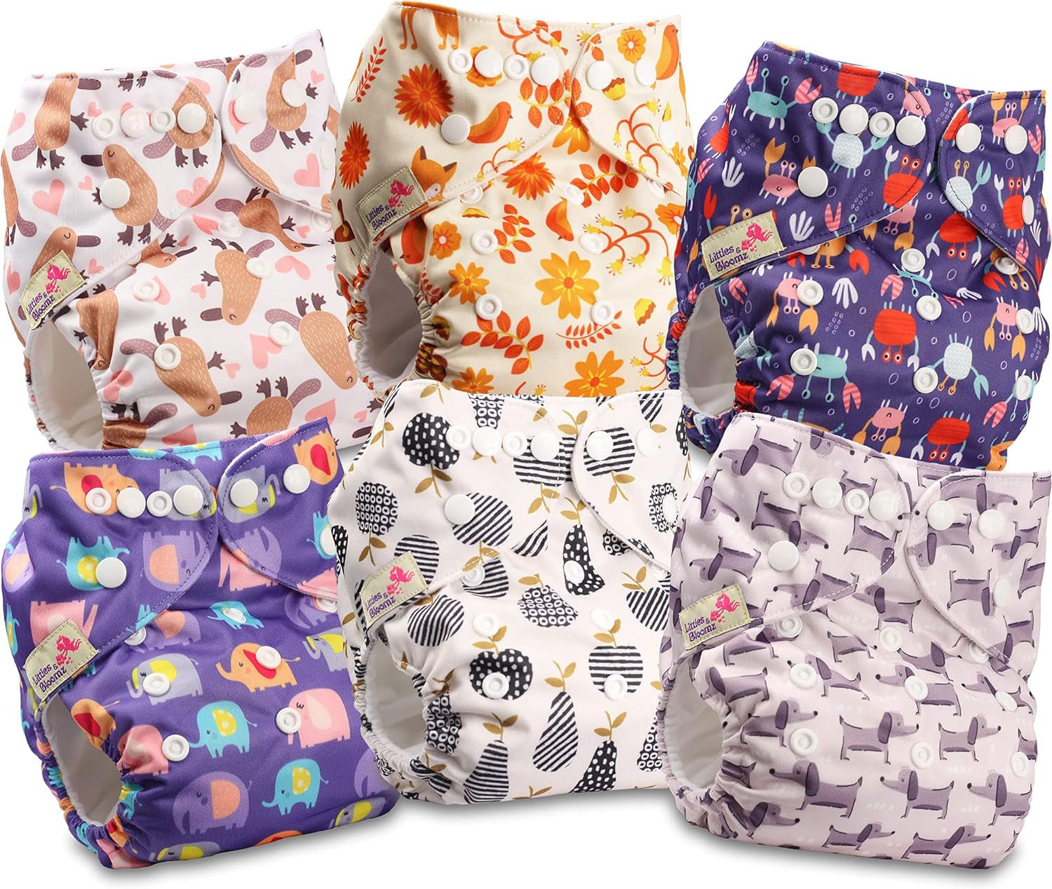 Littles and Bloomz FLP2-0406 Couche réutilisable à clip standard, 4 couches