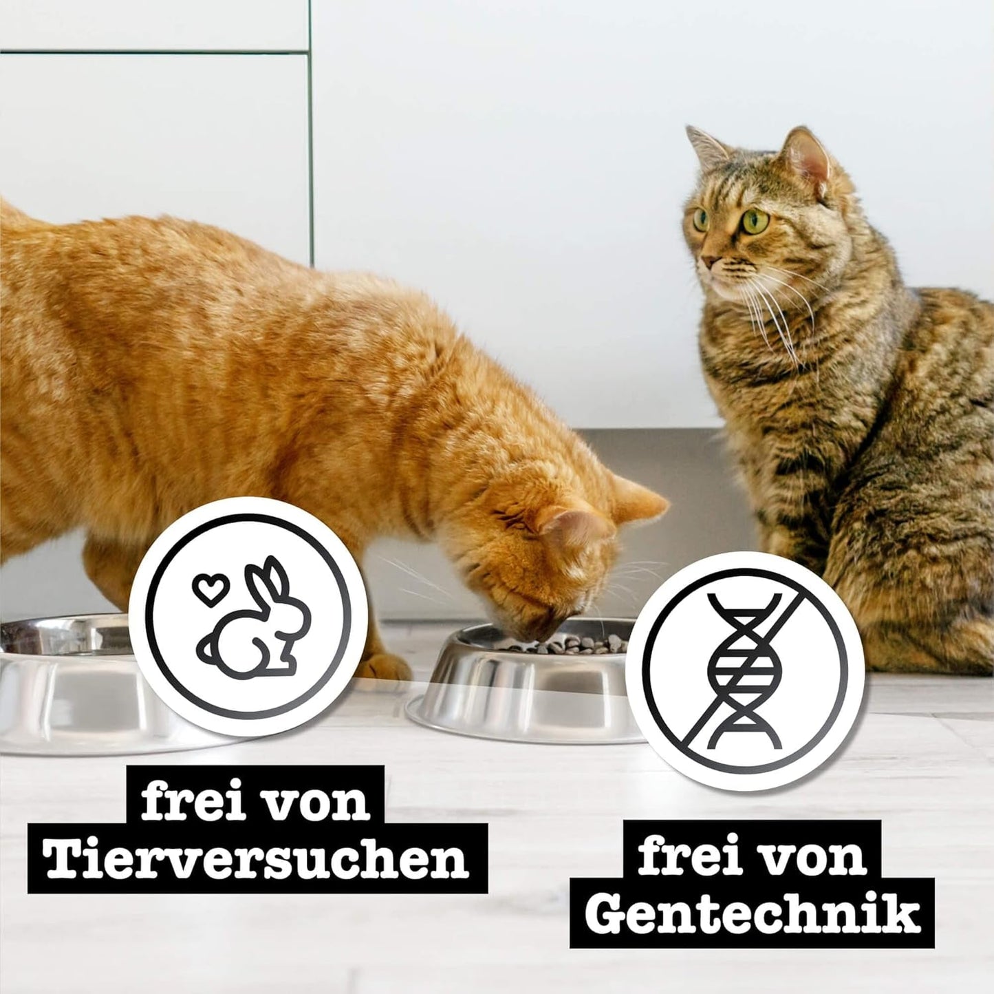 Nourriture humide pour chats Catz Finefood Purrrr Sheep Monoprotein no. 113, pour chats à digestion sensible, 70% de viande, 16 sachets de 85 g chacun