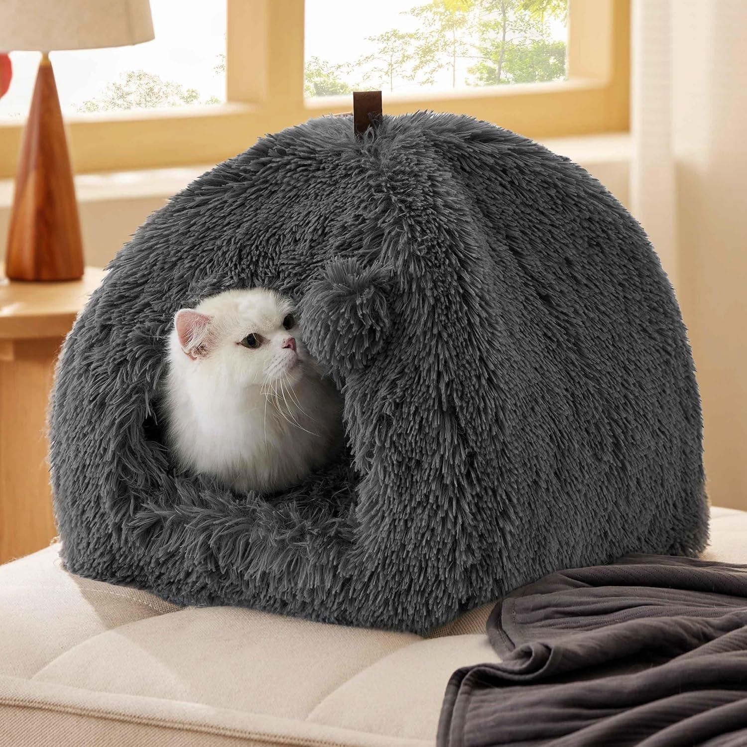 Couvertures et meubles, Animaux, Grottes et maisons, Chats, Lits pour chats, Chats - Lits, Matelas