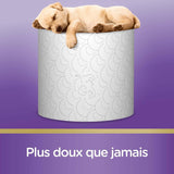Papier toilette rembourré (12 paquets de 7 rouleaux) - doux et confortable - respectueux de l'environnement - durable