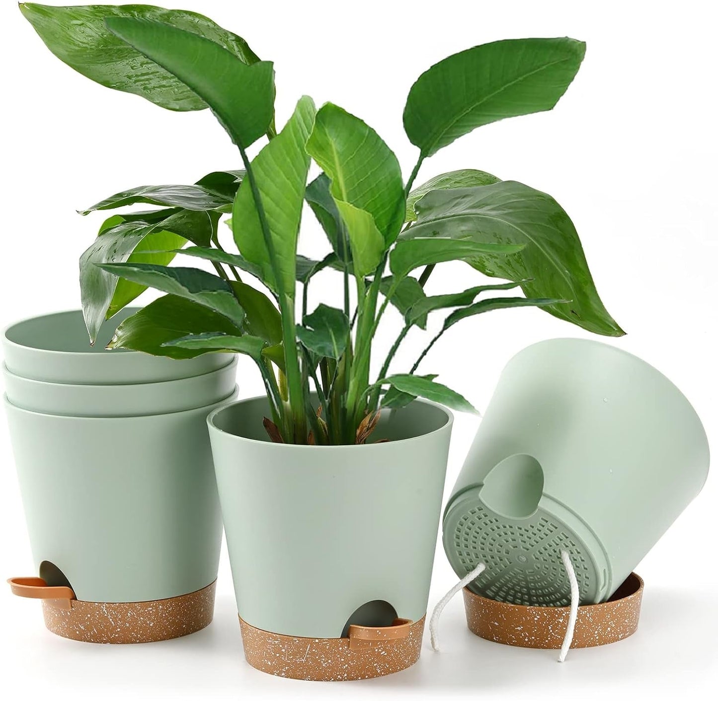 Pot de Fleur 6 Pièces 12,7 cm Jardinière à Arrosage Automatique Pot de Fleur intérieur extérieur à Drainage élevé avec Plateau de réservoir et Bord d'arrosage Jardinière de Jardin Jardin