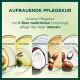 Garnier Nutrisse Coloration permanente pour cheveux aux huiles de fruits nourrissantes, tenue 8 semaines, teinte ultra crème, 036 cerise noire (paquet de 2) Naty Shop Coloration capillaire