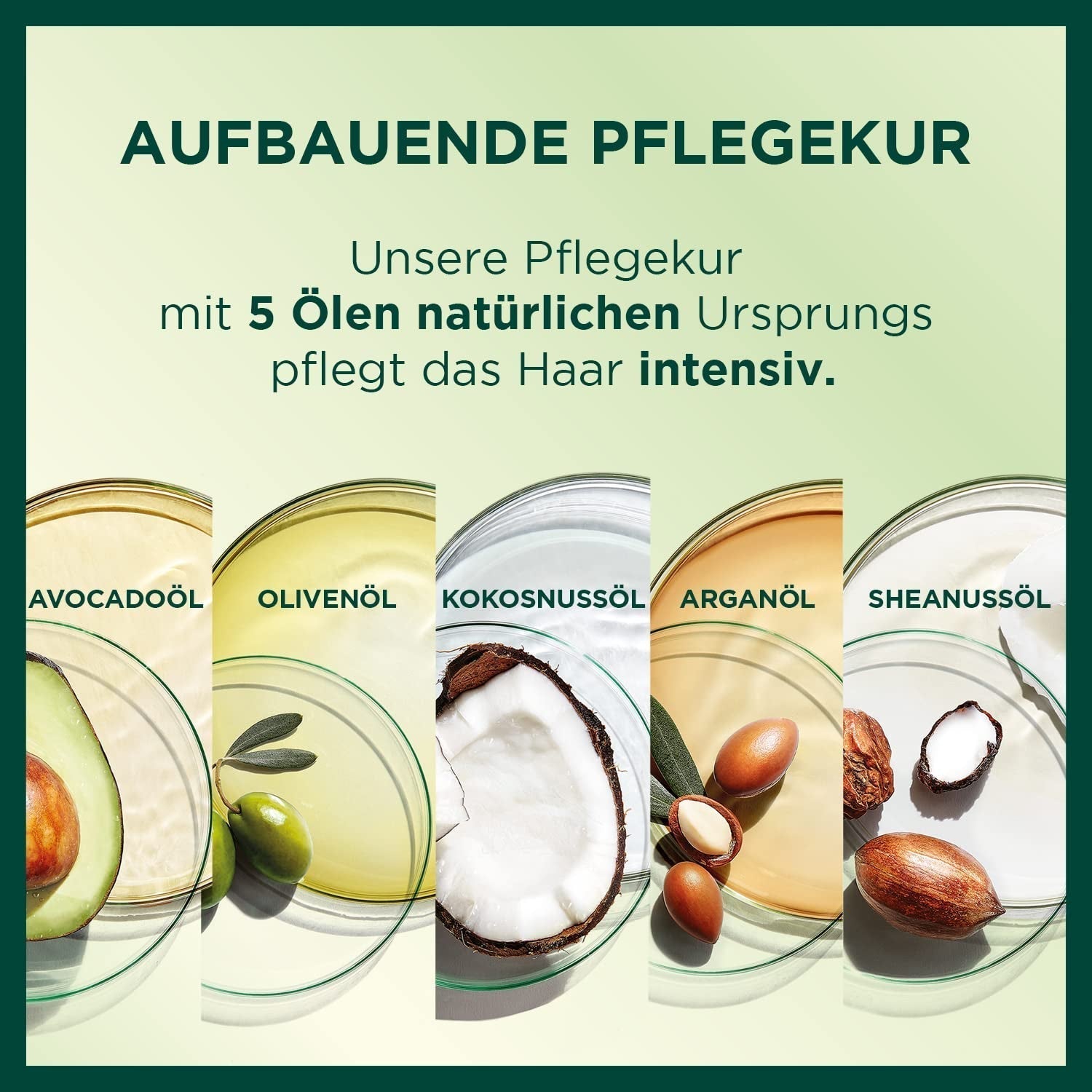 Garnier Nutrisse Coloration permanente pour cheveux aux huiles de fruits nourrissantes, tenue 8 semaines, teinte ultra crème, 036 cerise noire (paquet de 2) Naty Shop Coloration capillaire